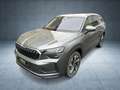 Skoda Kodiaq 2.0 TDI 4x4 Selection Lounge Area View LED Grau - thumbnail 1