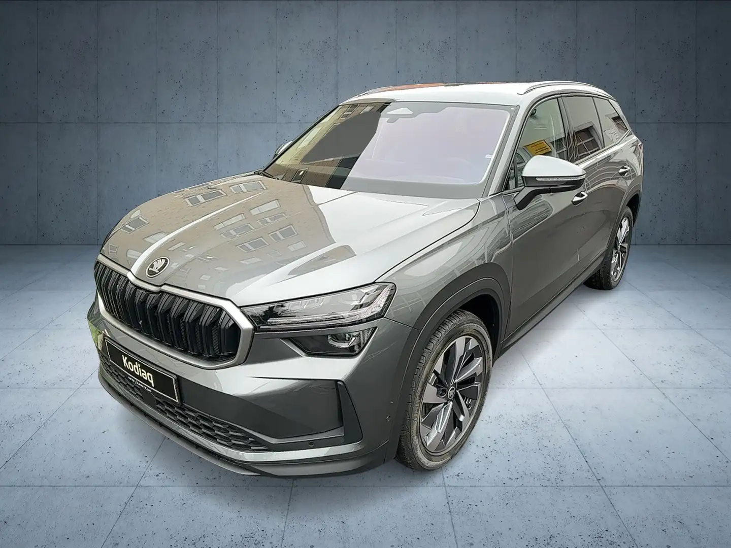 Skoda Kodiaq 2.0 TDI 4x4 Selection Lounge Area View LED Grau - 1