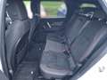Land Rover Discovery Sport D180 4WD Aut. R-Dynamic SE Weiß - thumbnail 7