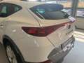CUPRA Formentor FO CUPRA 2.0 TDI 150CV Bianco - thumbnail 24