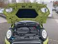 MINI Cooper Cabrio Cooper Cooper Classic Trim  Autom. LED DAB 1.Hd. Gelb - thumbnail 14