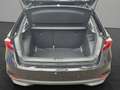 Skoda Fabia Selection Negro - thumbnail 19