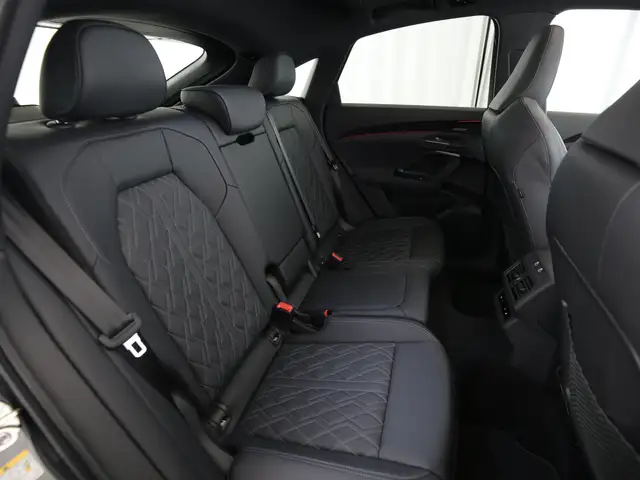 Audi SQ5 view 15