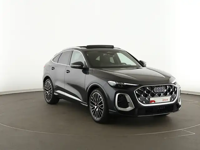 Audi SQ5 view 9
