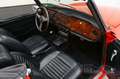 Triumph TR6 | Gerestaureerd | Nieuw lakwerk | 1970 Rot - thumbnail 8