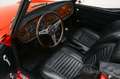 Triumph TR6 | Gerestaureerd | Nieuw lakwerk | 1970 Rot - thumbnail 2