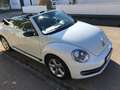 Volkswagen Beetle The Beetle Cabriolet 2.0 TSI Sport, bis 17.10.25 Weiß - thumbnail 1