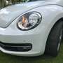 Volkswagen Beetle The Beetle Cabriolet 2.0 TSI Sport, bis 17.10.25 Weiß - thumbnail 7