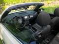 Volkswagen Beetle The Beetle Cabriolet 2.0 TSI Sport, bis 17.10.25 Weiß - thumbnail 9