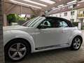 Volkswagen Beetle The Beetle Cabriolet 2.0 TSI Sport, bis 17.10.25 Weiß - thumbnail 4