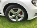 Volkswagen Beetle The Beetle Cabriolet 2.0 TSI Sport, bis 17.10.25 Weiß - thumbnail 8