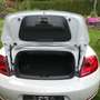 Volkswagen Beetle The Beetle Cabriolet 2.0 TSI Sport, bis 17.10.25 Weiß - thumbnail 6
