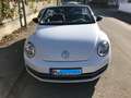 Volkswagen Beetle The Beetle Cabriolet 2.0 TSI Sport, bis 17.10.25 Weiß - thumbnail 5