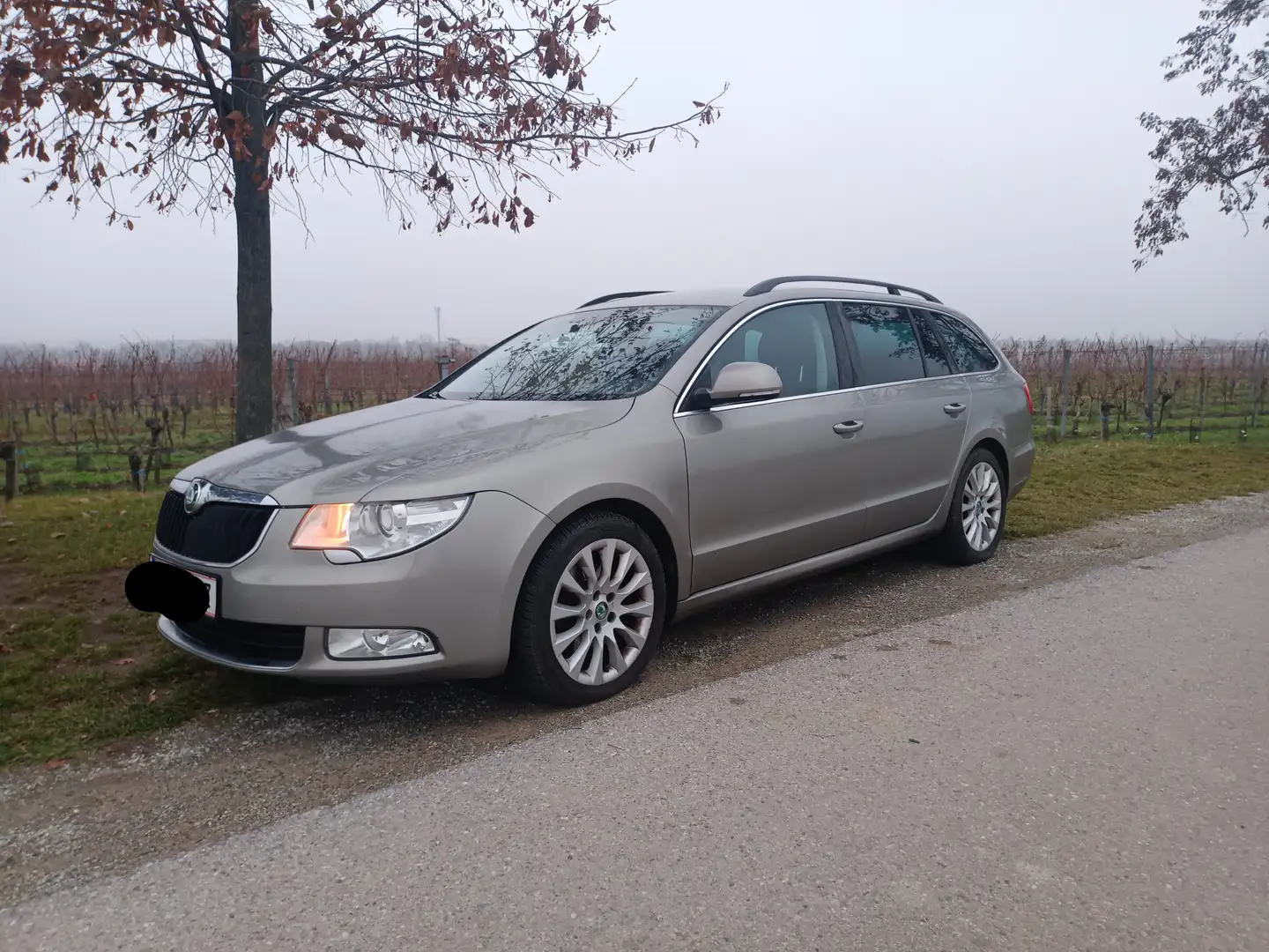 Skoda Superb Superb Combi Elegance 2,0 TDI DSG Elegance Beige - 2