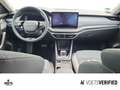 Skoda Octavia Combi Selection 2.0 TDI DSG AHK+KLIMA+SHZ Grau - thumbnail 8