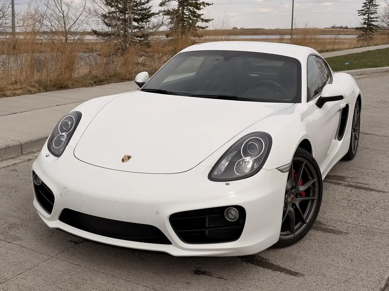 2014 Porsche Cayman