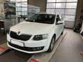 Skoda Octavia Joy/1.Hand/Scheckheft/Panorama/Bi-Xenon/DSG/Kamera Weiß - thumbnail 2