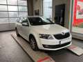Skoda Octavia Joy/1.Hand/Scheckheft/Panorama/Bi-Xenon/DSG/Kamera Weiß - thumbnail 1