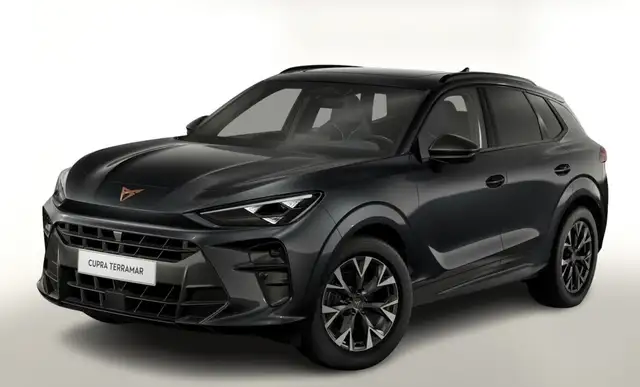 CUPRA Terramar Terramar 1.5 eTSI DSG