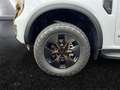 Ford Ranger DoKa Wildtrak PHEV e-4WD **inkl. HardTop** Weiß - thumbnail 22