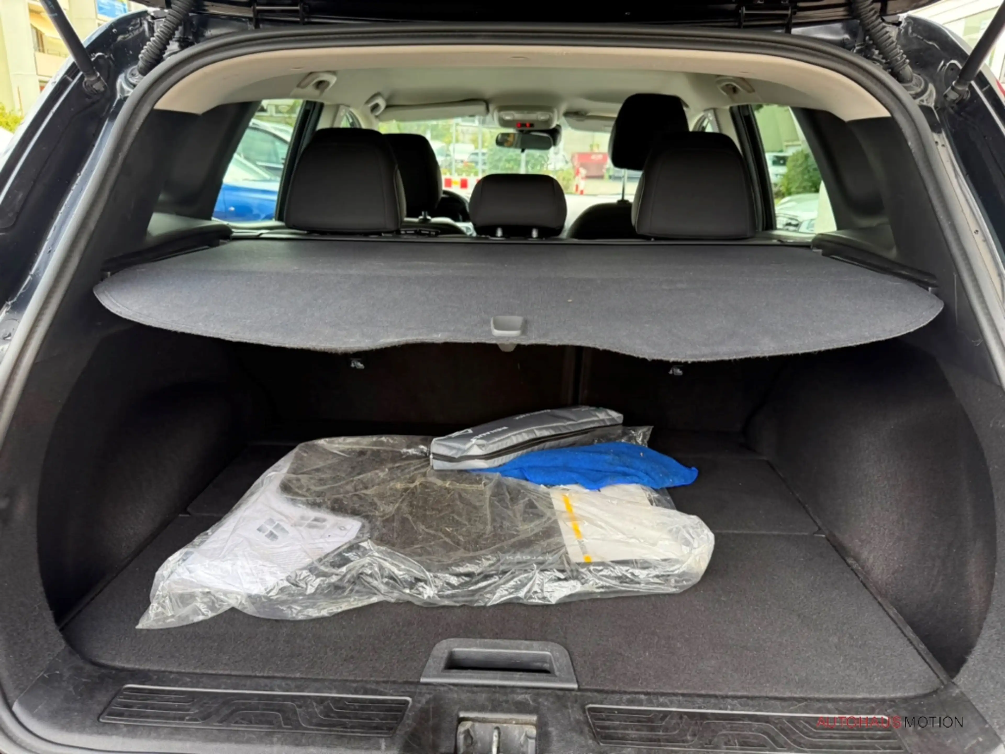 Renault Kadjar Business Edition Totwinkel Tempomat — photo 15