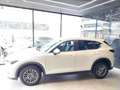 Mazda CX-5 2.2L Skyactiv-D 150 CV 2WD Business Bianco - thumbnail 8