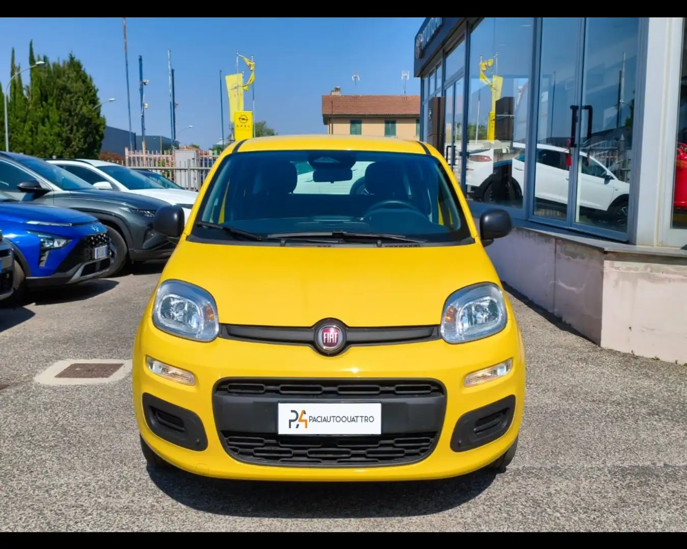 Fiat Panda 1.0 firefly hybrid s&s 70cv Giallo - 2