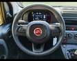 Fiat Panda 1.0 firefly hybrid s&s 70cv Giallo - thumbnail 13