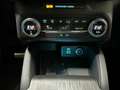 Ford Kuga 2.0 ecoblue ST-Line X awd 190cv auto Grigio - thumbnail 8