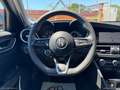 Alfa Romeo Giulia GIULIA BUSINESS 2.2 MJ 160CV AT8 IVA ESPOSTA Grigio - thumbnail 18