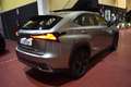 Lexus NX 300 300h Luxury 4WD Argent - thumbnail 13