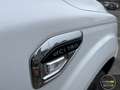 Renault Alaskan 2.3 dCi Twin Turbo 190CV aut. 4WD Intens Blanc - thumbnail 6