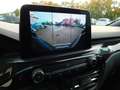 Ford Kuga KUGA PHEV ST-LINE X el.AHK+iACC+BLIS+HUD+vollLED Blanc - thumbnail 14