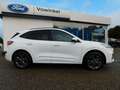 Ford Kuga KUGA PHEV ST-LINE X el.AHK+iACC+BLIS+HUD+vollLED Blanc - thumbnail 34