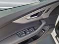 Audi Q7 55 TFSI e qu S line MATRIX Luft AHK HuD 21" Weiß - thumbnail 21