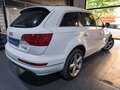 Audi Q7 3.0TDI Ambiente Tiptronic Blanco - thumbnail 6