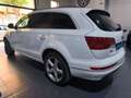 Audi Q7 3.0TDI Ambiente Tiptronic Blanco - thumbnail 4