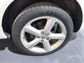 Audi Q7 3.0TDI Ambiente Tiptronic Blanco - thumbnail 8