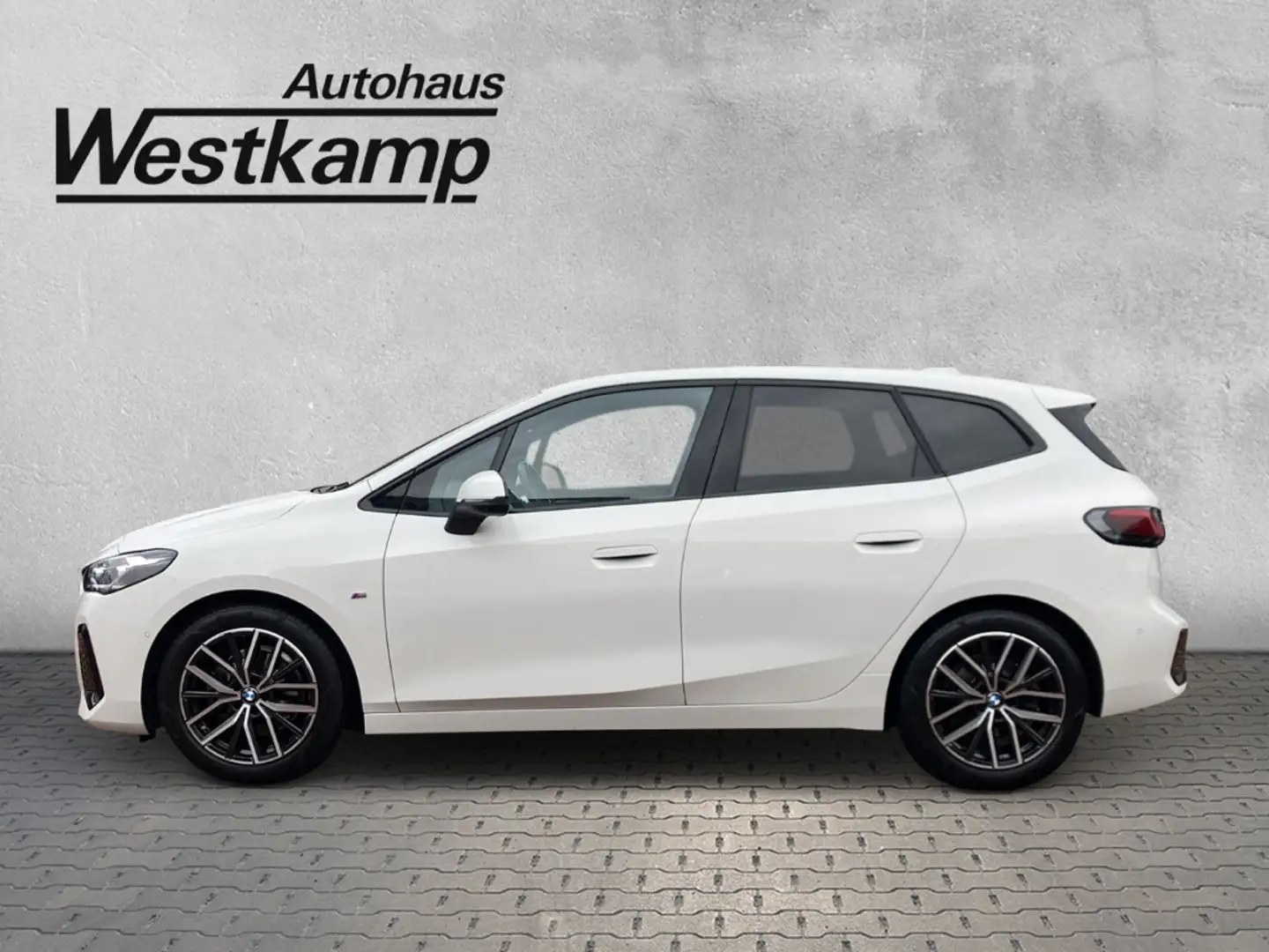 BMW 220 Active Tourer i M Sport Anh.Kpl. Panodach Led White - 2