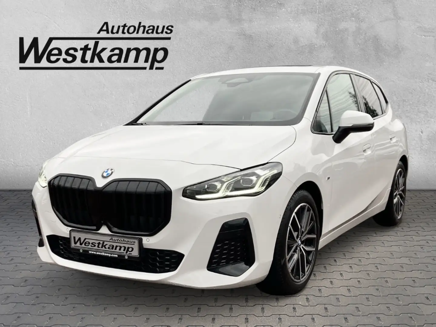 BMW 220 Active Tourer i M Sport Anh.Kpl. Panodach Led White - 1