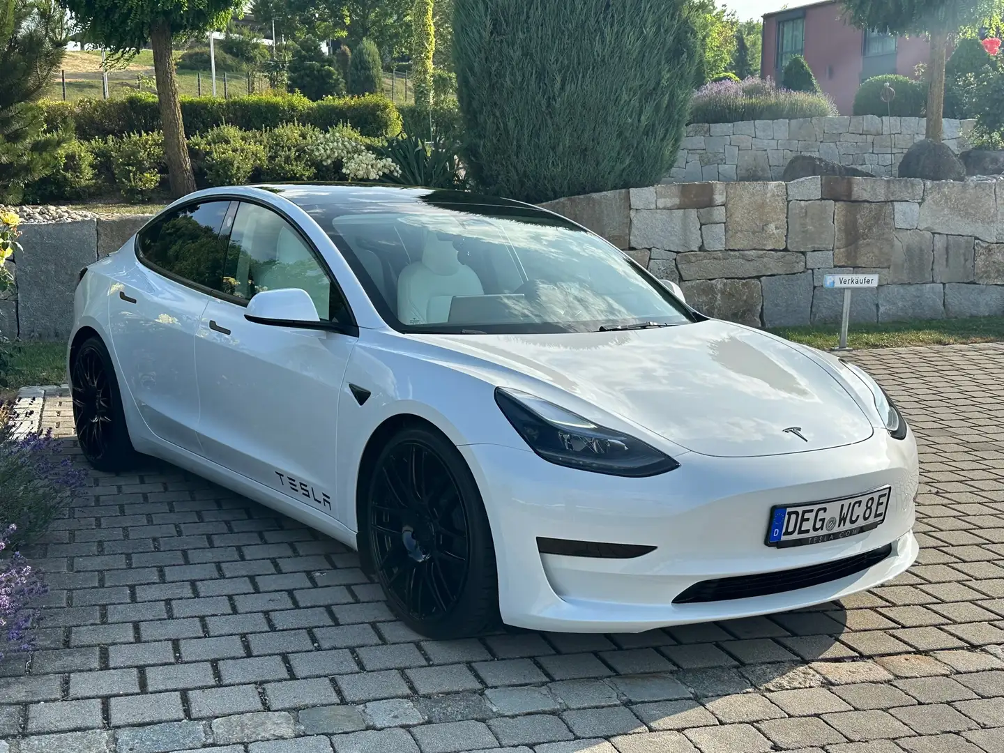 Tesla Model 3 SR+ 20 Zoll Weiß/Weiß Weiß - 2