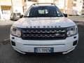 Land Rover Freelander Freelander II 2011 2.2 td4 SE 150cv Weiß - thumbnail 8