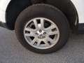 Land Rover Freelander Freelander II 2011 2.2 td4 SE 150cv Weiß - thumbnail 11
