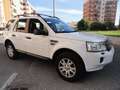 Land Rover Freelander Freelander II 2011 2.2 td4 SE 150cv Weiß - thumbnail 9