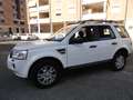 Land Rover Freelander Freelander II 2011 2.2 td4 SE 150cv Weiß - thumbnail 1