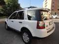 Land Rover Freelander Freelander II 2011 2.2 td4 SE 150cv Weiß - thumbnail 13