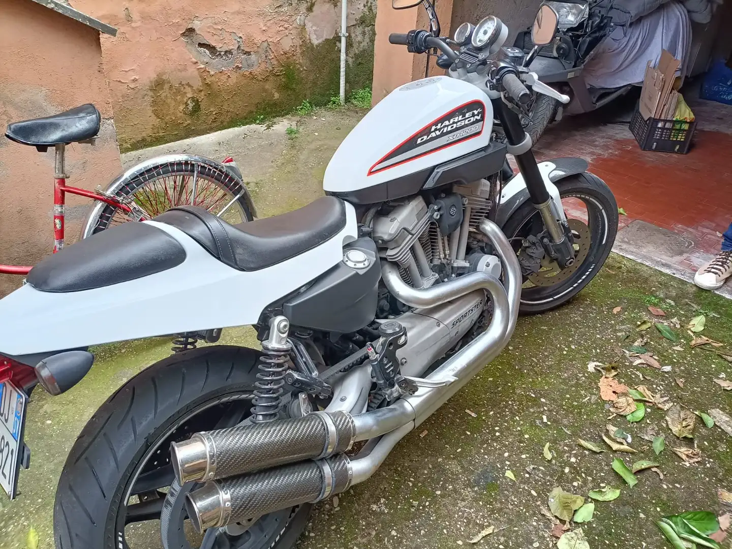 Harley-Davidson XR 1200 xr bijela - 2