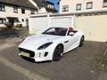 Jaguar F-Type F-Type R AWD Cabriolet V8 Kompressor, Liebhaberfzg Blanco - thumbnail 6