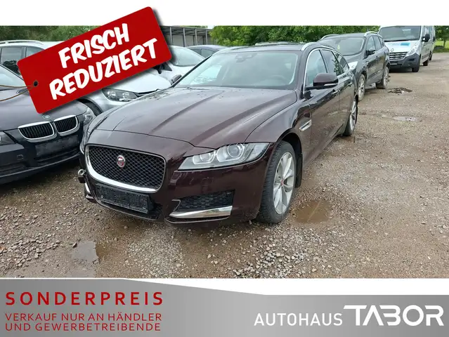 Jaguar XF Sportbrake Portfolio 25d AWD BiXe Keyl Kamera