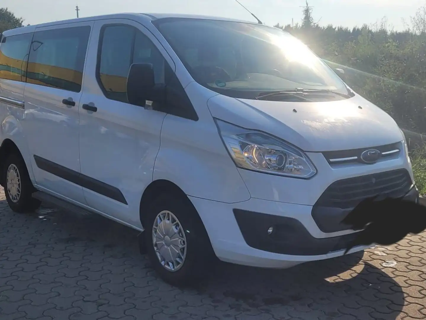 Ford Transit Custom Transit Custom 300 TDCi Alb - 2